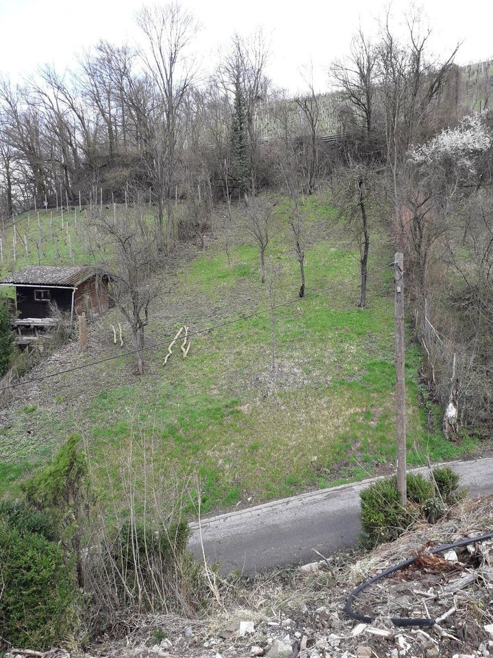 Bauplatz,Grundstück, Wochenendgrundstück,Wiese in Knetzgau