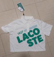 NEU Lacoste Polo 36 Nordrhein-Westfalen - Meckenheim Vorschau