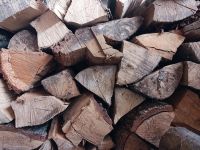 SUCHE : Holz Brennholz Stammholz Nordrhein-Westfalen - Soest Vorschau