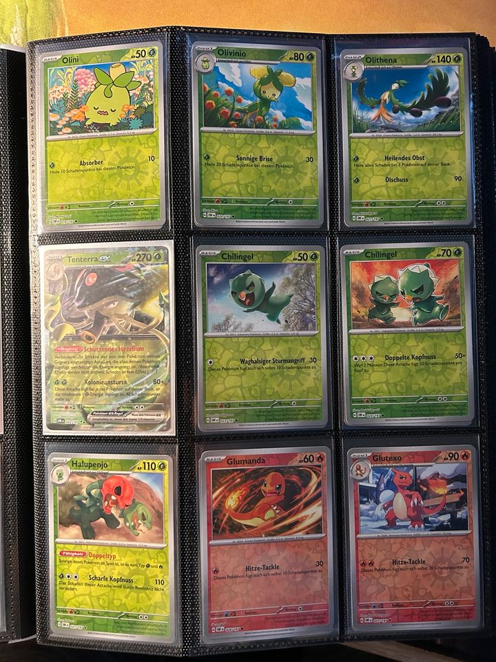 Pokemon Obsidianflammen Master Set DE Boosterfrisch + Ordner! in Dorsten