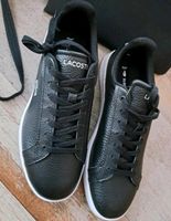 Lacoste Sneaker Damen Gr.40 Baden-Württemberg - Künzelsau Vorschau