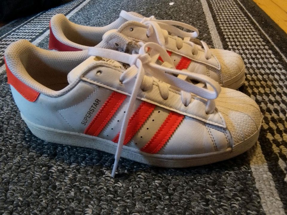 Adidas Superstar Sneaker in Nabburg