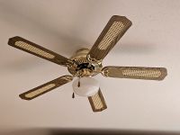 Deckenventilator Bayern - Höchstadt Vorschau