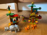 10906 Lego Duplo Baumhaus komplett Bayern - Fischbachau Vorschau