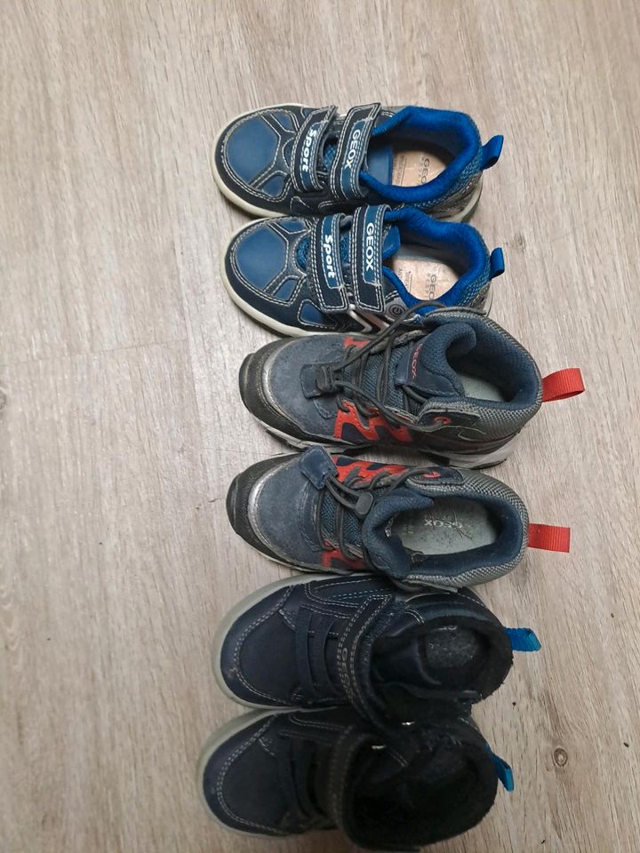 3 Paar Geox Schuhe Größe 24 für  KinderKinderschuhe in Kappel-Grafenhausen