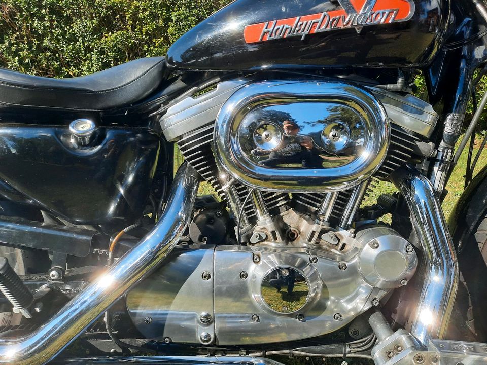 Harley Davidson Sportster 1200er in Holm