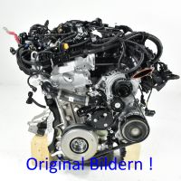 BMW 5er G30 G31 2.0i Motor Komplett 135 KW 184 PS B48B20A B48B Hessen - Rüsselsheim Vorschau