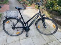 Pegasus Damen Fahrrad 28 Zoll 7 Gang Rahmengröße 50 Niedersachsen - Lüneburg Vorschau