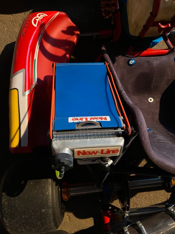 Birel R31 Rennkart 125ccm in Stollberg