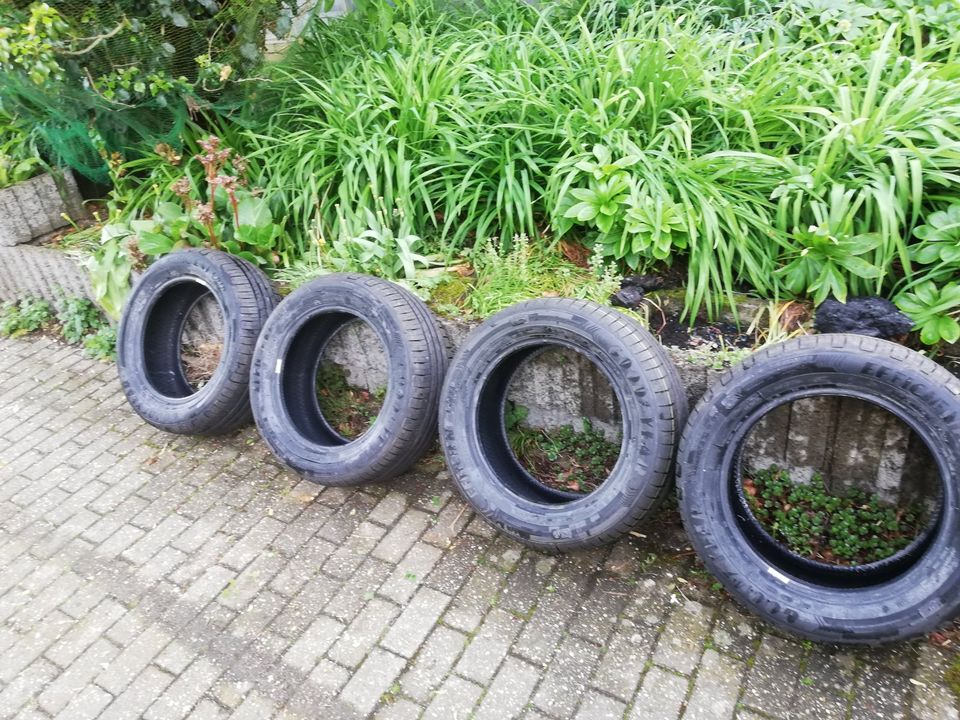 4 neue Sommer-Reifen 225/55 R16 Goodyear in Burscheid