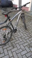 Herren Fahrrad Berlin - Tempelhof Vorschau