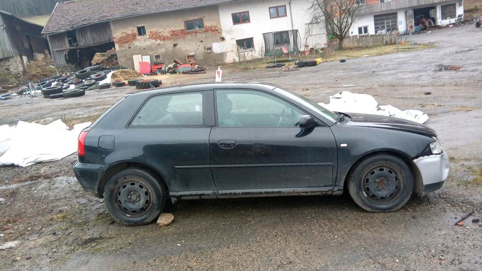 Verkaufe Audi A3 in Miltach