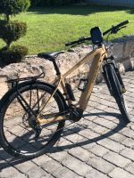 E Bike Focus Adventura  29 Zoll Gr.L Bayern - Mengkofen Vorschau