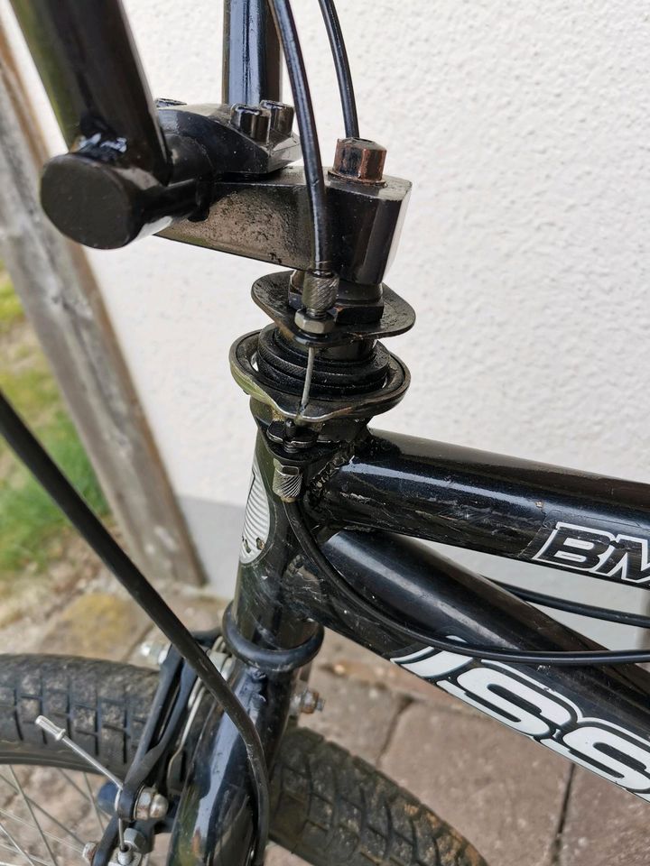 BMX Rad Pro 360 in Siegsdorf