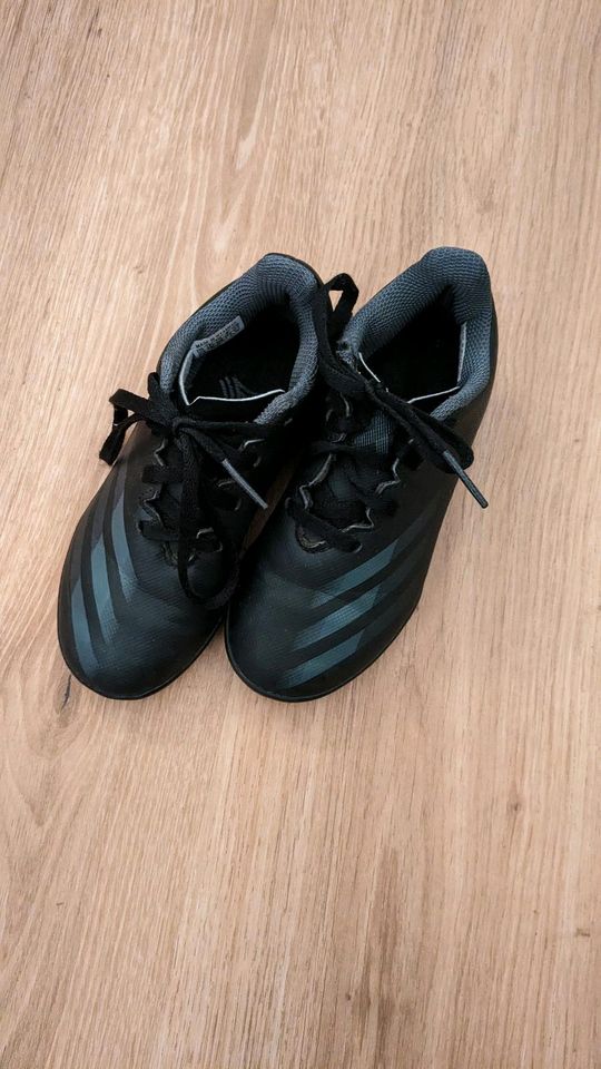 Fußballschuhe, Noppenschuhe, Tausendfüßlerschuhe Gr. 29 in Schluchsee