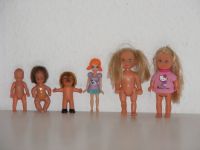 6 Puppen Busch Karina Baby Igel Figur Polly Pocket Simba 7- 12 cm Niedersachsen - Bippen Vorschau