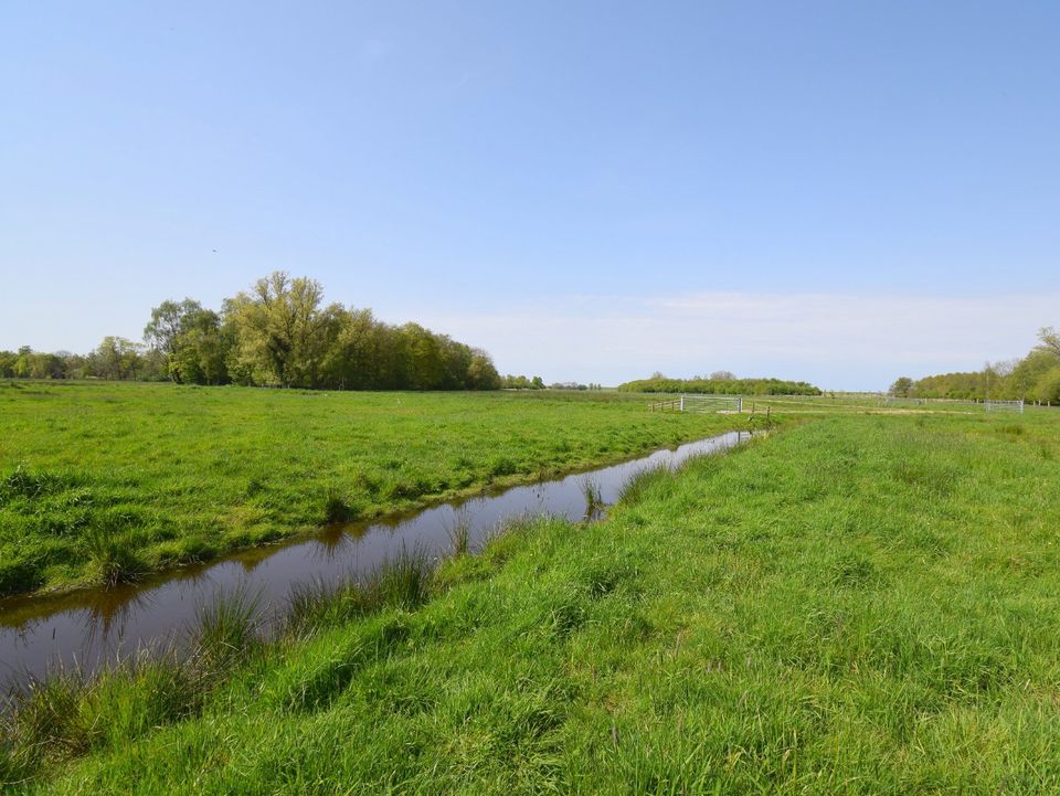 Historischer Landsitz unter Reet am Jadebusen / Nordsee in Stadland