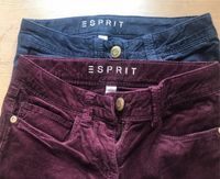 Esprit cord Hose blau weinrot 140 Nordrhein-Westfalen - Steinfurt Vorschau