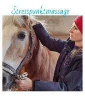 Stresspunktmassage für Pferd Spezialangebot im Mai Bayern - Grassau Vorschau