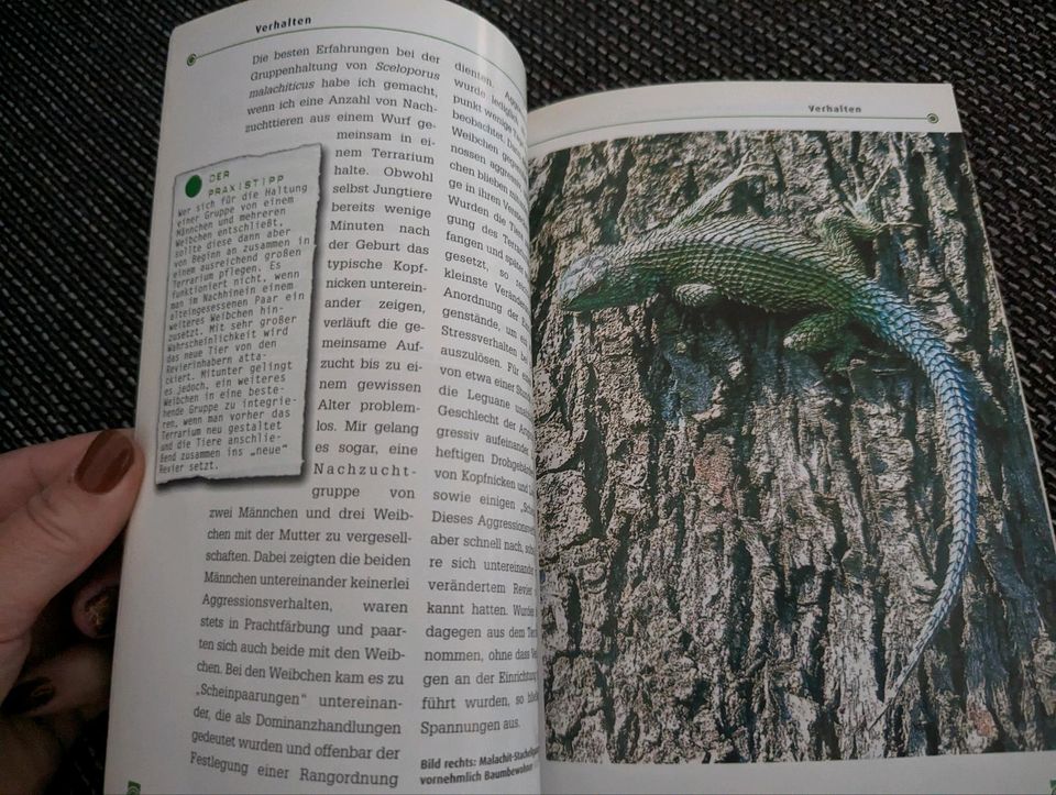 Tier Bücher alle zusammen für 8€ in Ahrensbök