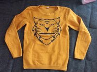 Pullover Tiger gr 128 Baden-Württemberg - Schwaigern Vorschau