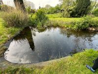 Teich abpumpen Garten Gärtner Nordrhein-Westfalen - Moers Vorschau
