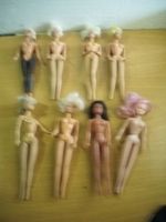 4 Barbie und 4 ähnliche No Name-Puppen Hessen - Hanau Vorschau