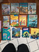 Diverse Kinderbücher Grundschule 0-2€ Schleswig-Holstein - Kisdorf Vorschau