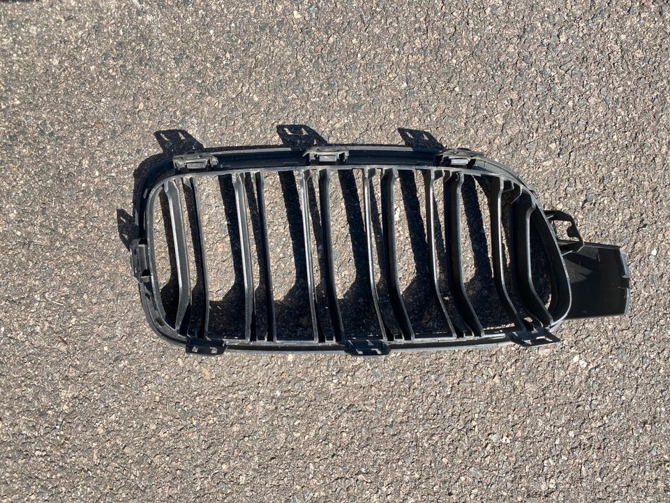 BMW e90 Grill Gitter Einlass Außen Motorhaube in Leipzig -  Sellerhausen-Stünz, Ersatz- & Reparaturteile