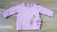 Steiff Pullover Gr. 62 Nordrhein-Westfalen - Haan Vorschau