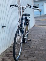 Citybike Koga Miyata Forest Hessen - Butzbach Vorschau