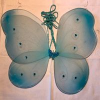 Tausche Schmetterlingsflügel gegen 3x 1l-Uludag Hessen - Kirchheim Vorschau