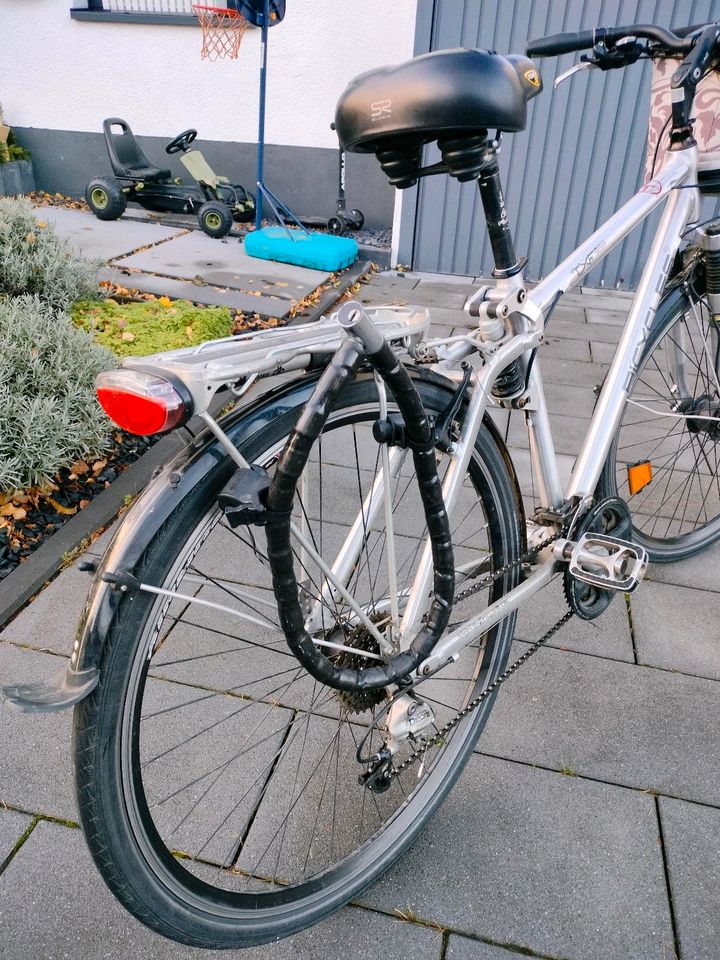 Fahrrad, Damenrad - Bicycles TXF900 - 28" in Köln