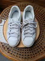 weiße Herren Turnschuhe von Puma Saarland - Bexbach Vorschau