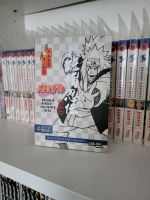 Dojunjo Ninden - ein reines Herz (Naruto Manga) Niedersachsen - Celle Vorschau