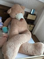 Teddybär Groß Hessen - Heringen (Werra) Vorschau