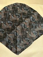 Valentino Einstecktuch blau Paisley Seide wie NEU Nordrhein-Westfalen - Mülheim (Ruhr) Vorschau