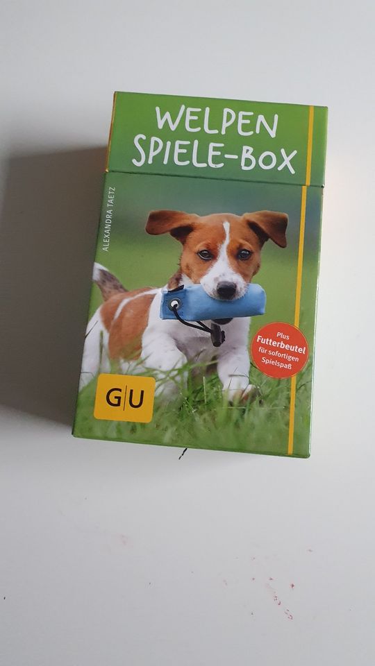 Welpen Spiele-Box gelb in Neuhäusel