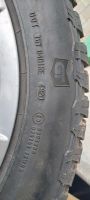 Geländereifen Grabber AT3 +Felgen  235/60 R18 Düsseldorf - Benrath Vorschau