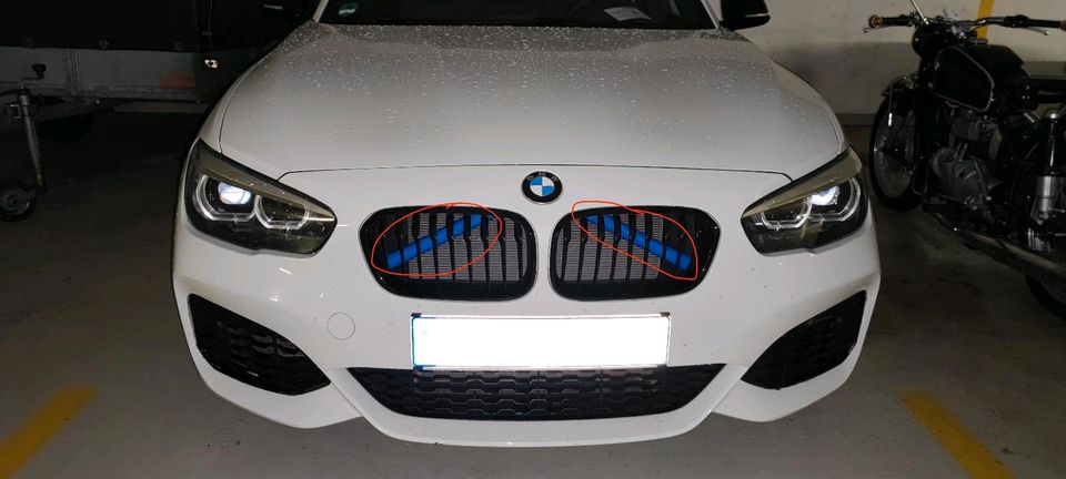 BMW Kühlergrill Einsatz in Blau (f. verschiedene Modelle) in Karlsruhe