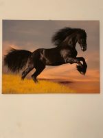 Pferd Leinwand Bild 80X60 neu Nordrhein-Westfalen - Dinslaken Vorschau