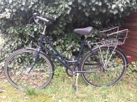 Fahrrad Dammen 28 Zoll Nordrhein-Westfalen - Gütersloh Vorschau