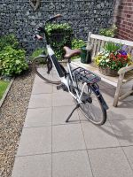 Gazelle  Arroyo E-Bike weiß mit braunem Ledersattel und Griffen Nordrhein-Westfalen - Herten Vorschau