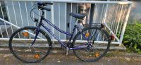 Damen Fahrrad olmo 28 Zoll Hessen - Maintal Vorschau