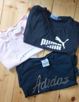 Adidas Damen T- Shirts S und M Thüringen - Ilmenau Vorschau