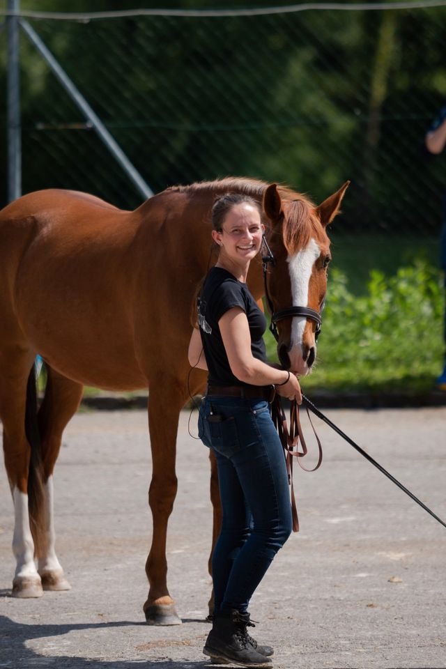 Pferdetrainer werden! | Ausbildung | natural.horsing Basistrainer in Neuhaus am Inn