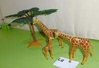 Playmobil Tier/Zoo Set: Giraffenfamilie + Zubehör (LG) Nordrhein-Westfalen - Blankenheim Vorschau