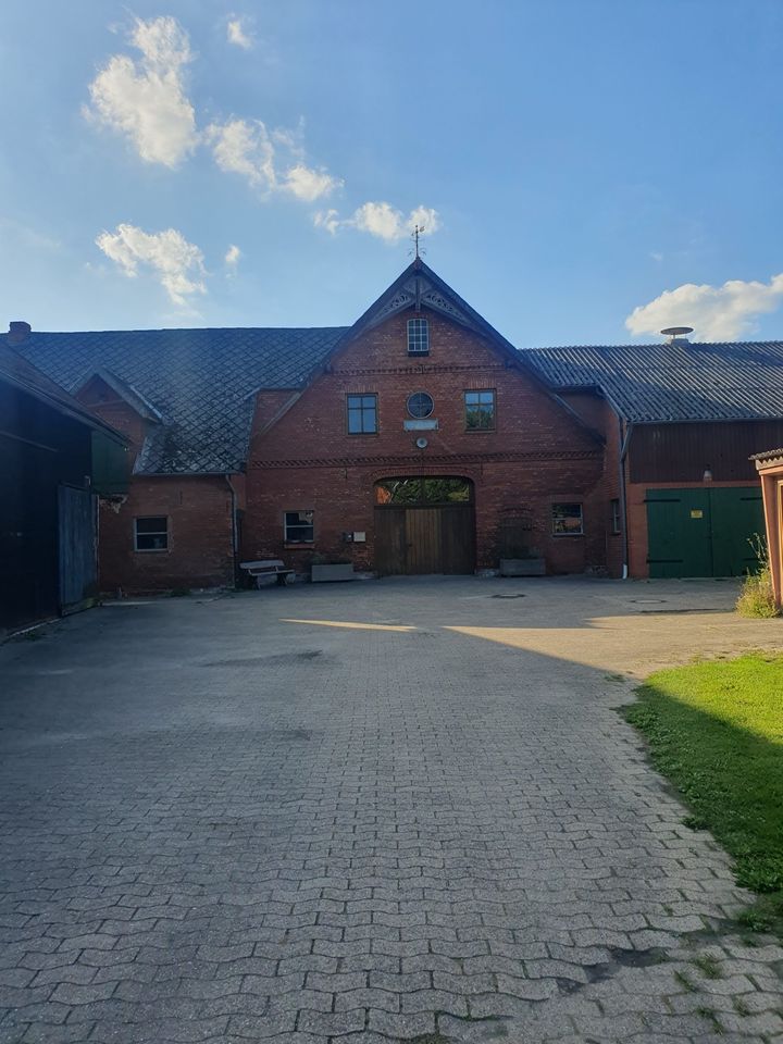 Resthof Bauernhof Pferdehof Hofstelle Bauernhaus in Bücken