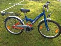 Hera  Technics Sting Ray 20 Zoll Kinderfahrrad Bayern - Rednitzhembach Vorschau