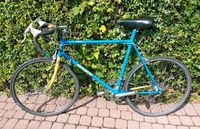 26" Rennrad Bioracer Shimano 105 rh 59cm Nordrhein-Westfalen - Lage Vorschau